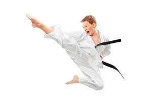 KÁRATE, JUDO O TAEKWONDO