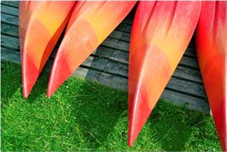 MULTIAVENTURA 1/2 DÍA - PIRAGUA+TIRO ARCO