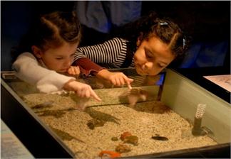UNA NOCHE EN EL MUSEO DE CIENCIAS NATURALES