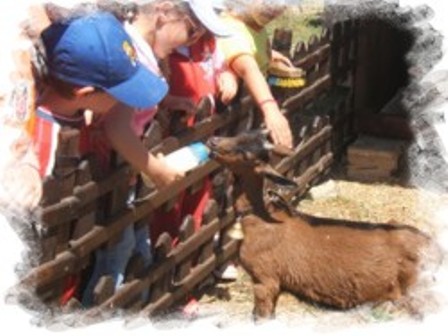 GRANJA ESCUELA LA SALLE DE LLIRIA